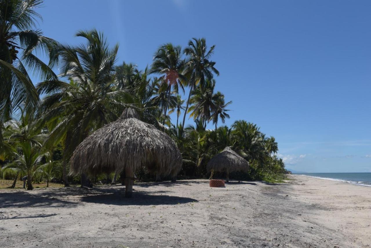 Uuttaaka Eco-Hotel Palomino Buitenkant foto